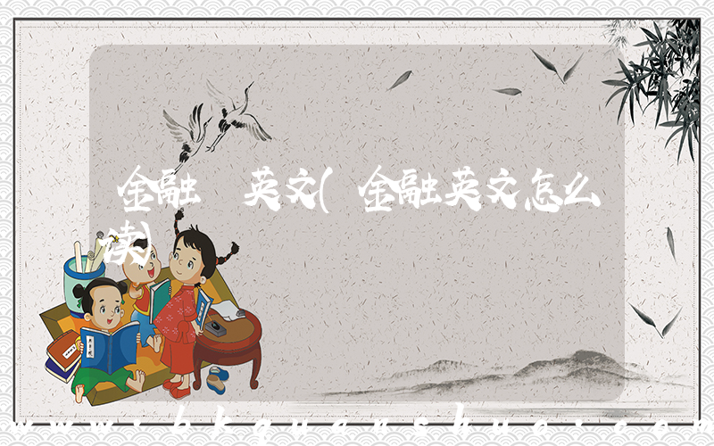 金融 英文(金融英文怎么读)